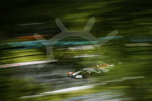Motorsports: FIA Formula One World Championship 2020, Grand Prix of Hungary