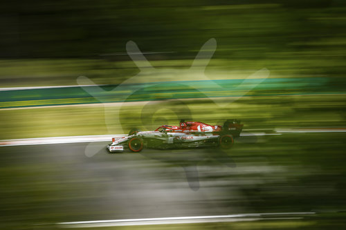 Motorsports: FIA Formula One World Championship 2020, Grand Prix of Hungary