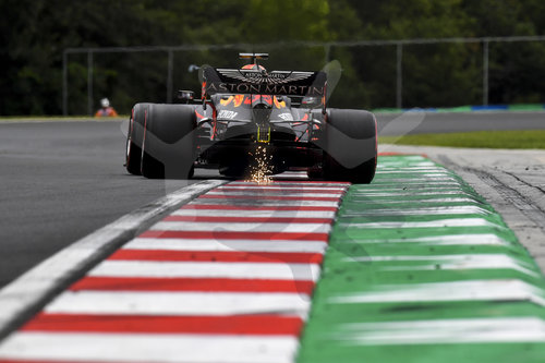 Motorsports: FIA Formula One World Championship 2020, Grand Prix of Hungary