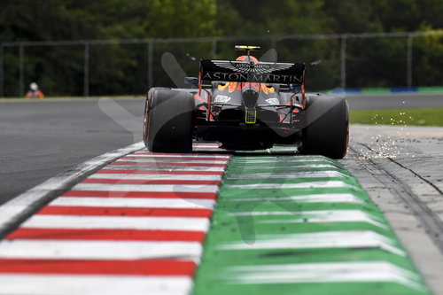 Motorsports: FIA Formula One World Championship 2020, Grand Prix of Hungary