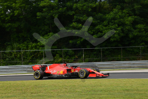 Motorsports: FIA Formula One World Championship 2020, Grand Prix of Hungary