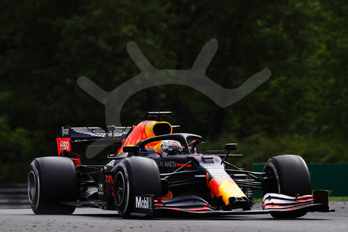 Motorsports: FIA Formula One World Championship 2020, Grand Prix of Hungary