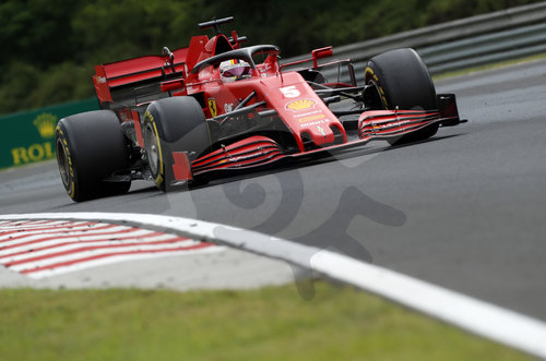 Motorsports: FIA Formula One World Championship 2020, Grand Prix of Hungary