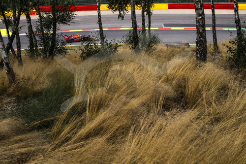 Motorsports: FIA Formula One World Championship 2020, Grand Prix of Belgium