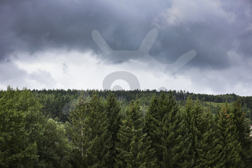 F1 Grand Prix of Belgium