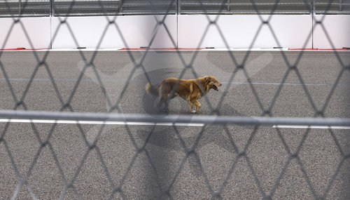 F1 Grand Prix of Russia