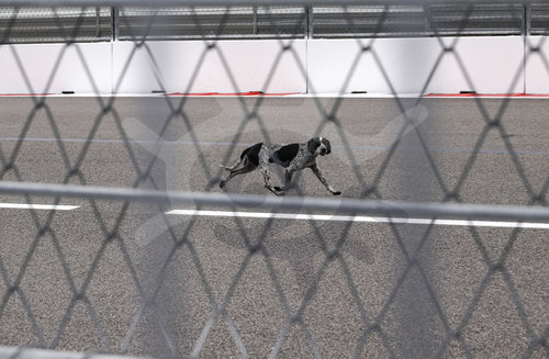 F1 Grand Prix of Russia