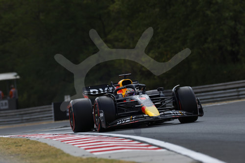 F1 Grand Prix of Hungary