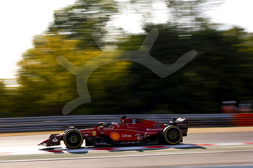F1 Grand Prix of Hungary