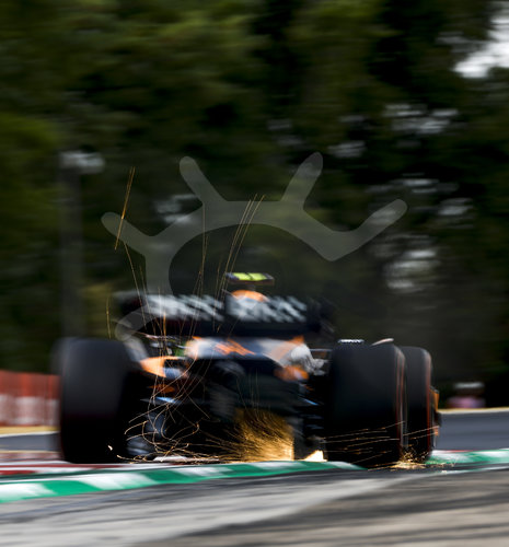 F1 Grand Prix of Hungary
