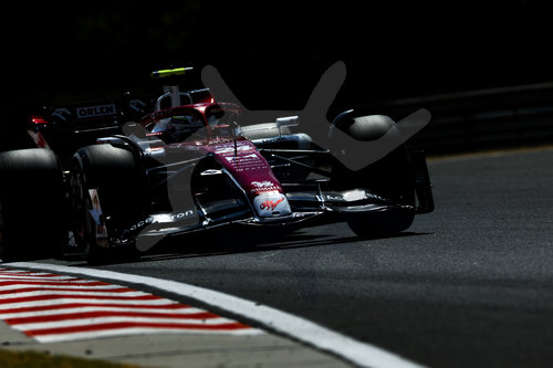 F1 Grand Prix of Hungary