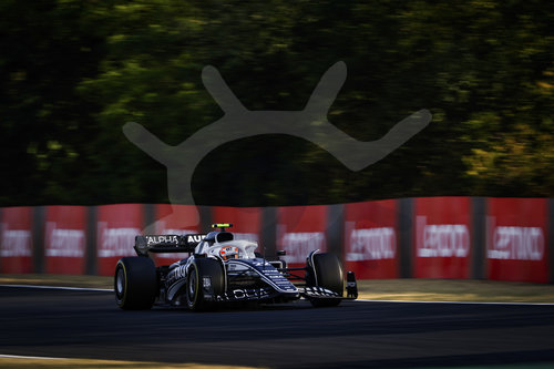 F1 Grand Prix of Hungary