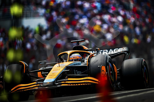 F1 Grand Prix of Brazil