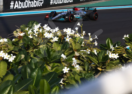 F1 Grand Prix of Abu Dhabi