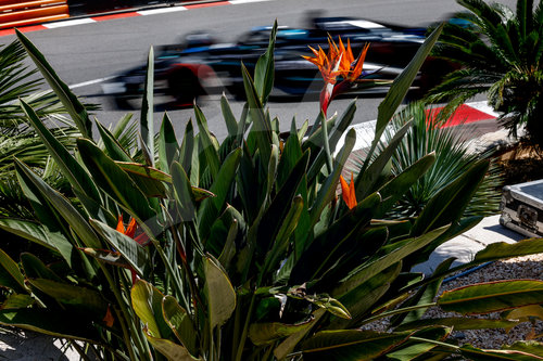 F1 Grand Prix of Monaco