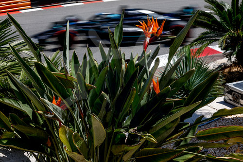 F1 Grand Prix of Monaco
