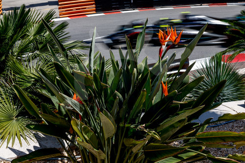 F1 Grand Prix of Monaco