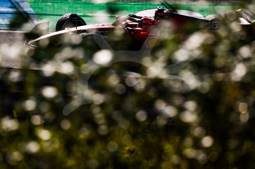F1 Grand Prix of the Netherlands