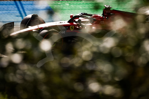 F1 Grand Prix of the Netherlands