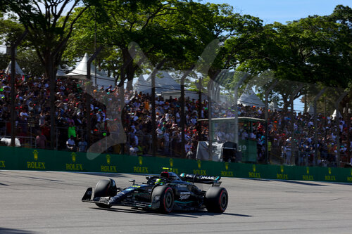 F1 Grand Prix of Brazil